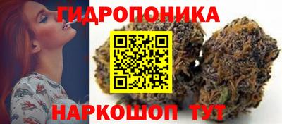 ECSTASY Будённовск