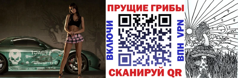 Псилоцибиновые грибы мицелий  как найти   Советский 