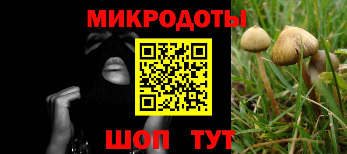 Советский  Псилоцибиновые грибы Psilocybine cubensis  Вход с VPN 